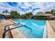 Inviting outdoor pool with clear blue water, surrounded by lush greenery, perfect for relaxation and recreation at 1010 Blue Heron Way, Tarpon Springs, FL 34689
