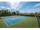 Two outdoor tennis courts on lush green grass offer recreational opportunities under a bright blue sky at 1010 Blue Heron Way, Tarpon Springs, FL 34689