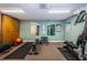 Fitness room with free weights, weight machines, mirrored wall, and exercise equipment at 1010 Blue Heron Way, Tarpon Springs, FL 34689