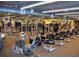 Fully equipped fitness center with modern cardio and weight training machines for a healthy lifestyle at 1020 New Winsor Loop # 46, Sun City Center, FL 33573