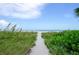 Sandy beach path leading to the ocean, lined with lush greenery on either side at 1480 Gulf Blvd # 204, Clearwater Beach, FL 33767