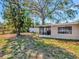 Backyard featuring a screened-in lanai and a large tree for shade at 2127 Alemanda Dr, Clearwater, FL 33764