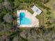 Aerial image of a community pool, with clear blue water, surrounding chairs and nearby trees at 2610 Forest Run Ct, Clearwater, FL 33761