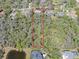 Aerial view of a lot featuring a lush green landscape, offering privacy and tranquility at 405 Apache Trl, Brandon, FL 33511