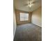 Neutral bedroom with carpet, ceiling fan, and natural light at 6002 Osprey Lake Cir, Riverview, FL 33578
