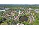 Aerial view of a home surrounded by mature trees and a scenic pond at 10906 Johanna Ave, Riverview, FL 33578