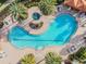 Aerial view of sparkling community pool, palm trees, jacuzzi, and relaxing lounge area at 20173 Umbria Hill Dr, Tampa, FL 33647