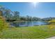 Scenic pond view showcasing serene water, mature trees, and lush green grass, offering a tranquil setting at 20319 Starfinder Way, Tampa, FL 33647