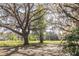 Wide shot of the serene backyard with mature trees providing privacy and shade at 26348 Crooked Tree Ln, Brooksville, FL 34602