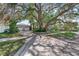 Lovely home with a lush tree in the yard and a two-car garage, enhanced by verdant landscaping at 325 Orangeview Ave, Clearwater, FL 33755