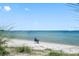 Peaceful beach scene with calm blue water and a person relaxing in a chair at 404 S Barbara Ln, Tampa, FL 33609