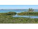 Scenic water view showcasing clear blue water, mangroves, and distant buildings under a sunny sky at 4801 Osprey S Dr # 404, St Petersburg, FL 33711