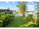 View of a backyard featuring lush green artificial turf, complemented by green hedges, a white fence, and bamboo at 9466 127Th Ave, Largo, FL 33773