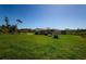 Expansive backyard featuring lush green grass and a screened enclosure at 10603 1St St, Riverview, FL 33569