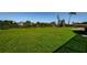 Large lot featuring lush green grass with room to roam at 10603 1St St, Riverview, FL 33569