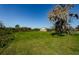 Large lot featuring lush green grass with room to roam at 10603 1St St, Riverview, FL 33569