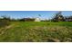 Large lot featuring lush green grass with room to roam at 10603 1St St, Riverview, FL 33569