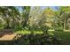 Green space with a large private yard, and shade trees at 11711 Raintree Village Blvd # C, Temple Terrace, FL 33617