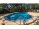 Community pool surrounded by trees and lawn chairs and a ladder to get into the pool at 11711 Raintree Village Blvd # C, Temple Terrace, FL 33617