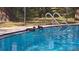 Two ducks enjoying a swim at the edge of the community pool at 11711 Raintree Village Blvd # C, Temple Terrace, FL 33617