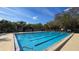 Inviting community swimming pool surrounded by mature trees and comfortable lounge chairs, offering relaxation and recreation at 11711 Raintree Village Blvd # C, Temple Terrace, FL 33617