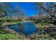 Community pond featuring a fountain, embraced by lush greenery and serene landscaping at 13207 San Blas Loop, Largo, FL 33774