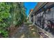 Narrow side yard featuring tropical foliage and providing access to the rear of the property at 13207 San Blas Loop, Largo, FL 33774