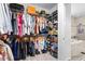 Spacious walk-in closet with ample shelving and hanging space at 3115 W Paxton Ave, Tampa, FL 33611