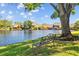 Lakeside condos with a bench nestled under a shady tree overlooking the water, offering a tranquil retreat at 4160 Pinelake Ln # 201, Tampa, FL 33618