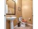 Cozy half bathroom with a pedestal sink, toilet, and a decorative mirror at 5831 Leopardstown Dr, Tampa, FL 33610