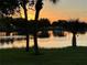 Lake reflecting the sun surrounded by palm trees and lush greenery at 10400 42Nd N St, Clearwater, FL 33762