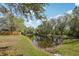 Scenic view of a backyard pond surrounded by lush trees and greenery at 18122 Antietam Ct, Tampa, FL 33647