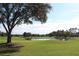Scenic view of a golf course with a pond, palm trees, and lush green grass at 23717 Coral Ridge Ln, Land O Lakes, FL 34639