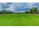 Expansive golf course view with lush green fairways under a dramatic sky at 23717 Coral Ridge Ln, Land O Lakes, FL 34639