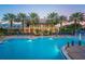 A luxurious pool with palm trees and lounge chairs, offering a relaxing and inviting atmosphere at 319 Shore Crab Way, Apollo Beach, FL 33572