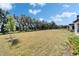 Wide shot of the property featuring a large backyard with new landscaping and green grass at 14733 Gallop Run Dr, Lithia, FL 33547