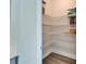Walk-in pantry featuring wire shelving for ample storage at 14733 Gallop Run Dr, Lithia, FL 33547