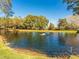 Scenic pond view featuring a water fountain, lush greenery, and mature trees at 2022 Camelot Dr # 9, Clearwater, FL 33763