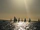 View of sailboats racing on the water with a golden sunset, capturing the essence of coastal living at 5200 Brittany Dr. S # 706, St Petersburg, FL 33715