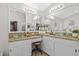 Elegant bathroom featuring double sinks, granite countertops, and modern fixtures at 11847 Derbyshire Dr, Tampa, FL 33626