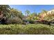 Lush community green space featuring tropical foliage and manicured hedges, a tranquil outdoor space at 2320 W Azeele St # 317, Tampa, FL 33609