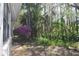 Exterior shot of a lush green backyard with flowering trees and tropical landscaping at 4078 Salem Square Pkwy, Palm Harbor, FL 34685