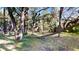 Lush backyard featuring mature trees, a grassy area, and natural landscaping at 6413 Maclaurin Dr, Tampa, FL 33647