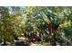 Secluded backyard with mature trees providing shade and privacy, featuring a trampoline at 6413 Maclaurin Dr, Tampa, FL 33647