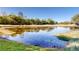 Picturesque view of a pond surrounded by lush greenery and a golf course in the background at 6413 Maclaurin Dr, Tampa, FL 33647