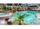 Beautiful screened pool with a spa, tropical landscaping, and ample deck space at 6413 Maclaurin Dr, Tampa, FL 33647