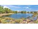 Scenic view of a serene pond surrounded by lush greenery and landscaping in a beautiful community at 830 Regal Manor Way # 1, Sun City Center, FL 33573