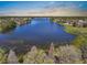 Breathtaking aerial view showcasing a serene lake surrounded by lush greenery and picturesque residential homes at 12802 Lake Vista Dr, Gibsonton, FL 33534