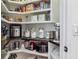 Organized pantry with shelving stocked with various kitchen staples and appliances for convenient storage and accessibility at 16533 Ivy Lake Dr, Odessa, FL 33556