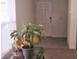 Light-filled entryway with neutral walls and decorative plant, creating a welcoming atmosphere at 36562 Silver Maize Dr, Dade City, FL 33525